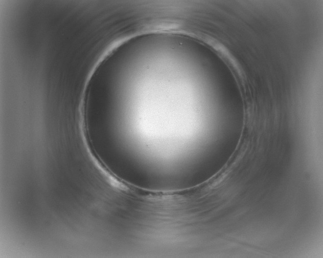 X0000070231432200606091705