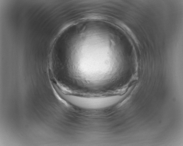 X0000070231433200606091705