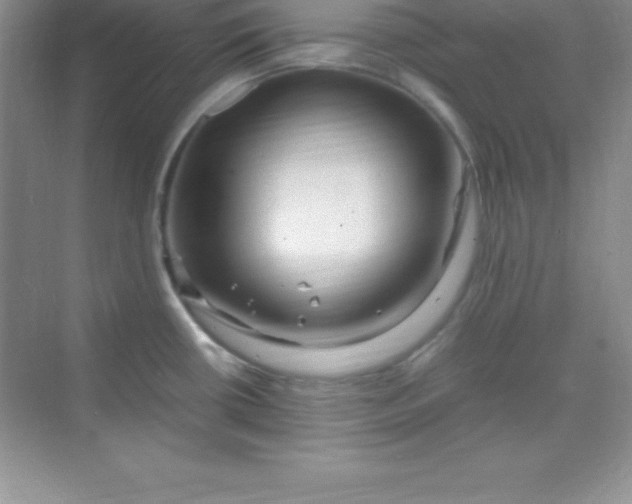 X0000070231434200606091705