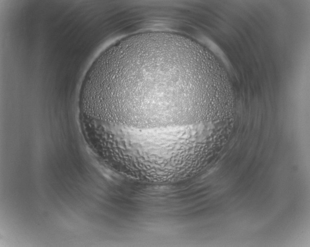 X0000070231435200606091705