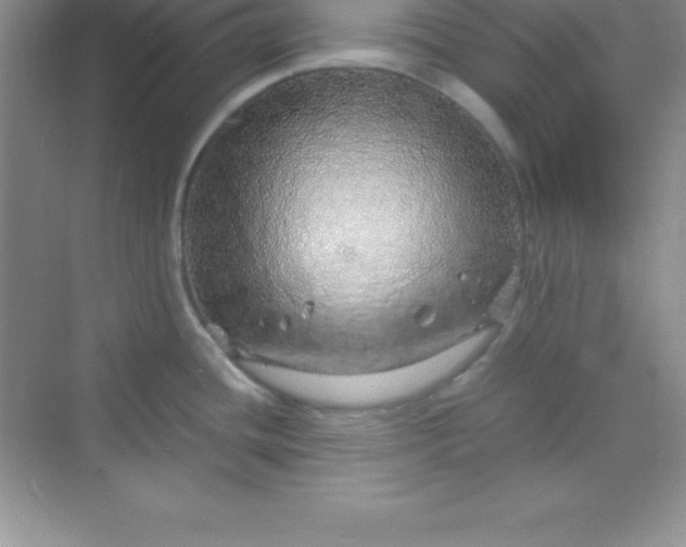 X0000070231436200606091705