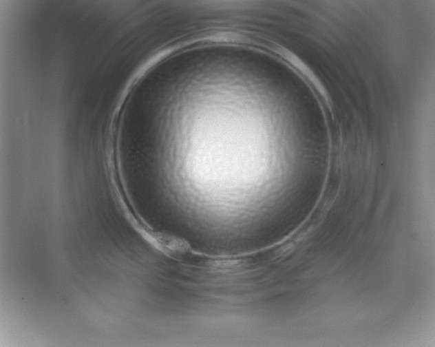 X0000070231437200606091705