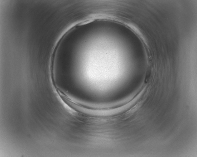 X0000070231438200606091705