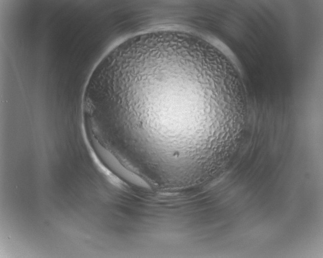 X0000070231439200606091705