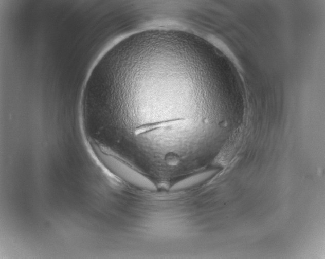 X0000070231440200606091705