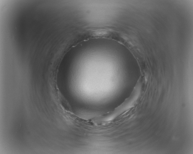 X0000070231441200606091705