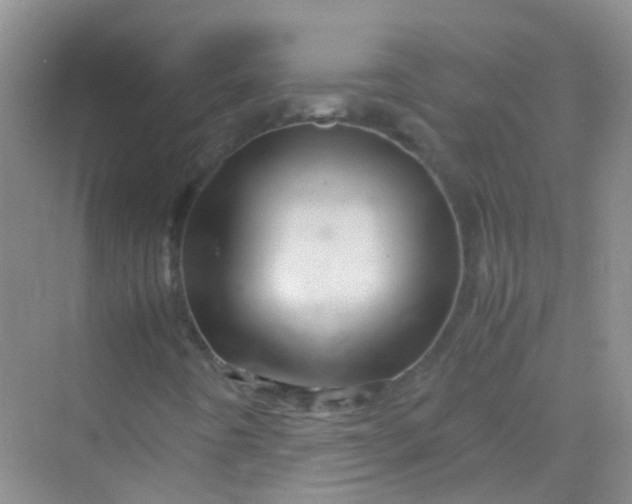 X0000070231442200606091705