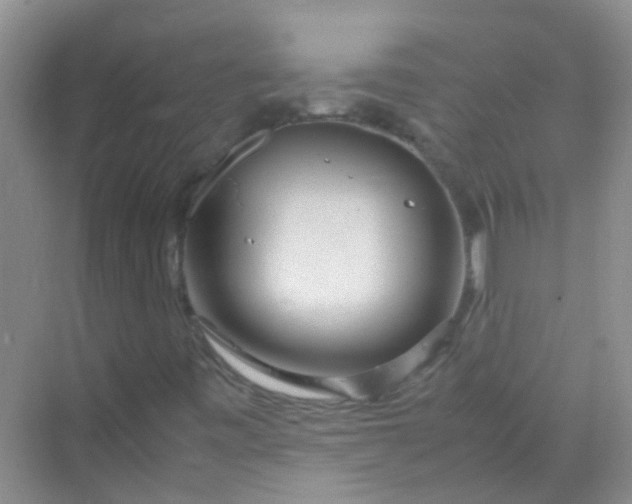 X0000070231443200606091705