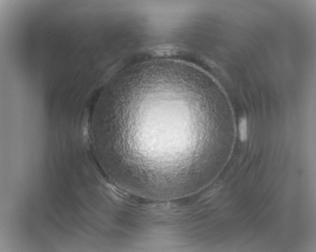 X0000070231444200606091705