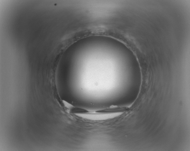 X0000070231445200606091705