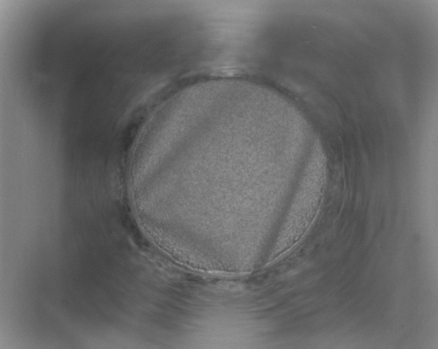 X0000070231446200606091705