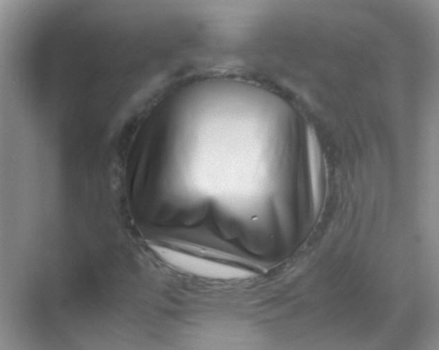 X0000070231447200606091705