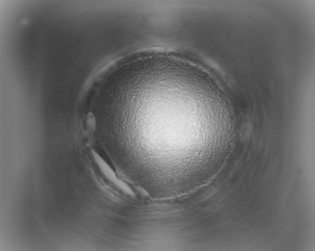 X0000070231448200606091704