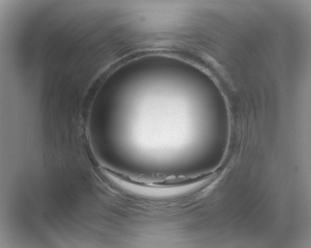 X0000070231449200606091704