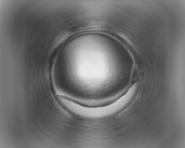 X0000070231450200606091704