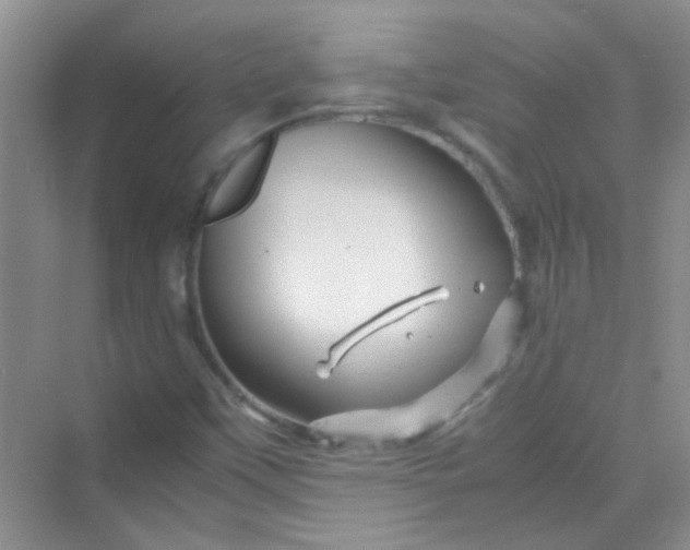 X0000070231451200606091704