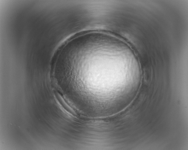 X0000070231452200606091704