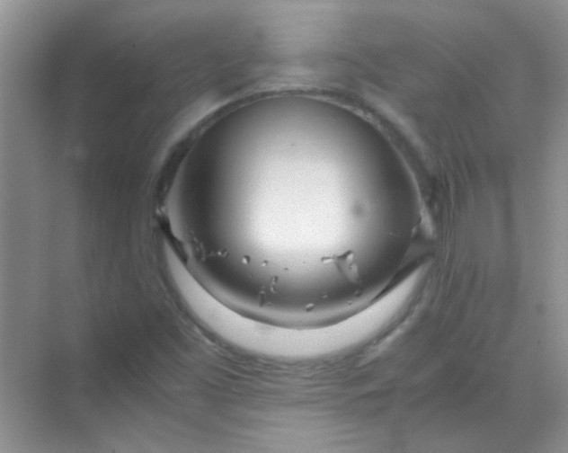 X0000070231453200606091704