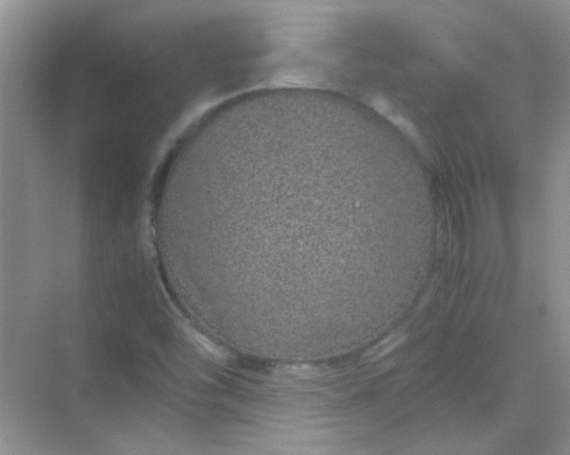 X0000070231454200606091704