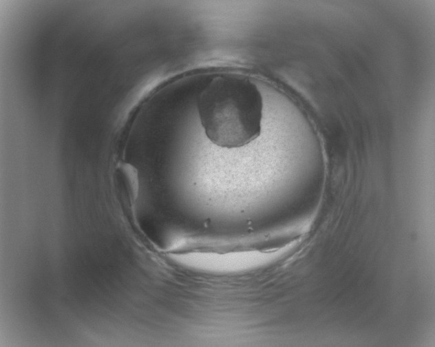 X0000070231455200606091704