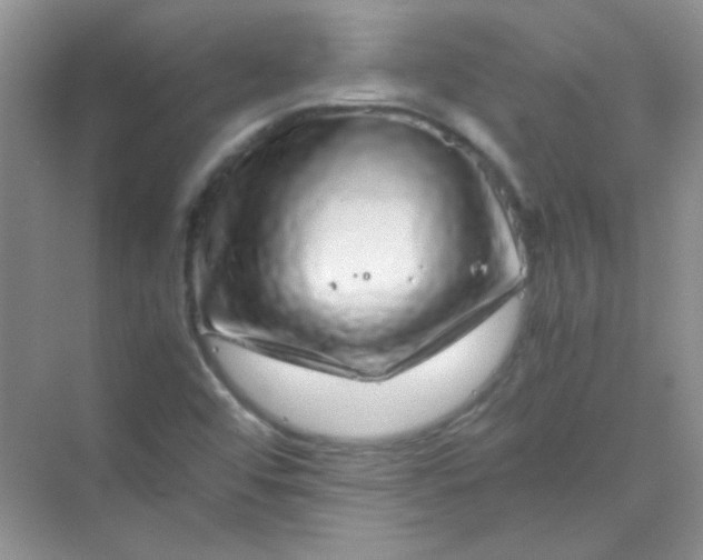 X0000070231456200606091704