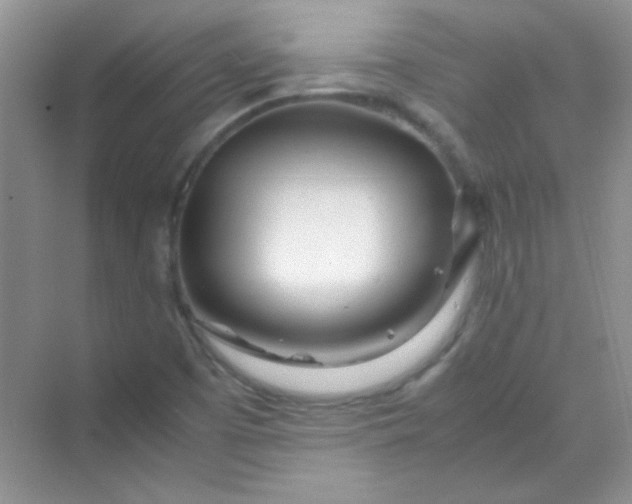 X0000070231457200606091704