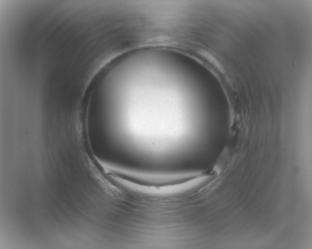 X0000070231458200606091704