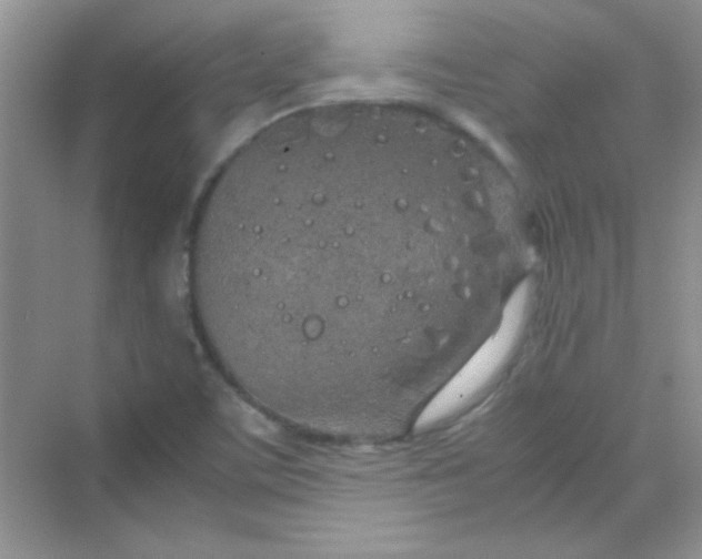 X0000070231459200606091704