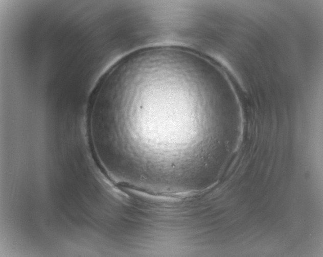 X0000070231460200606091704