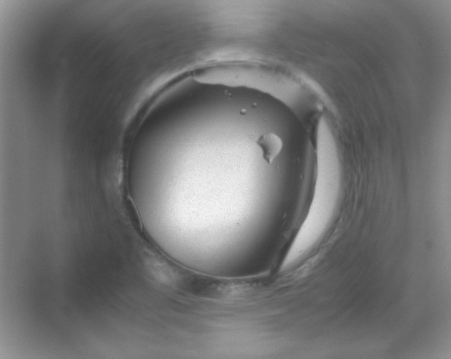 X0000070231461200606091704