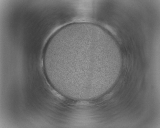 X0000070231462200606091704