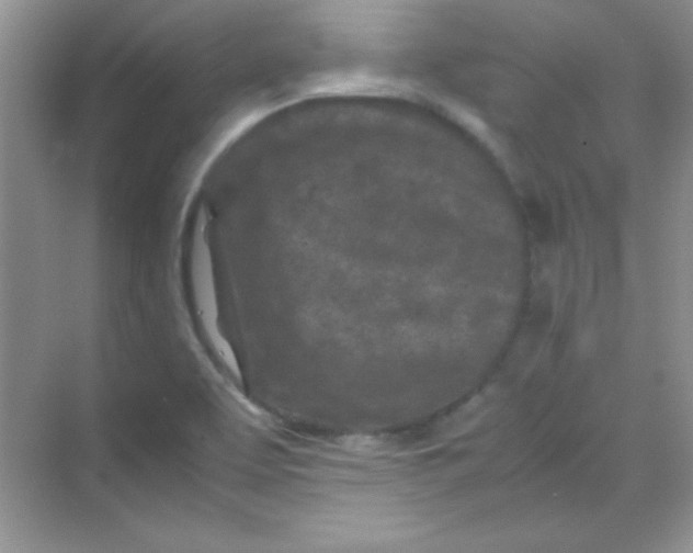 X0000070231463200606091704