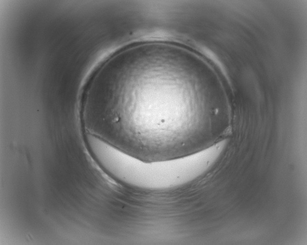 X0000070231464200606091704