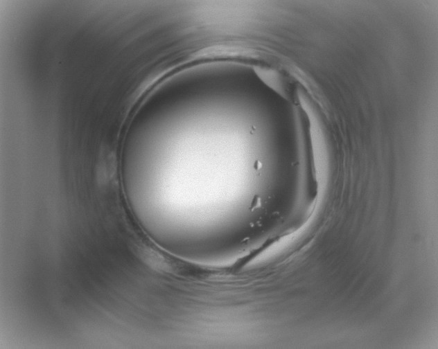 X0000070231465200606091704