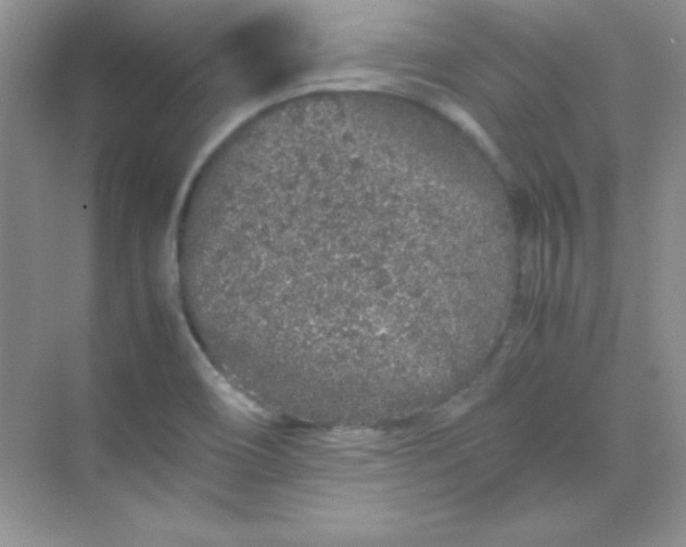 X0000070231466200606091704