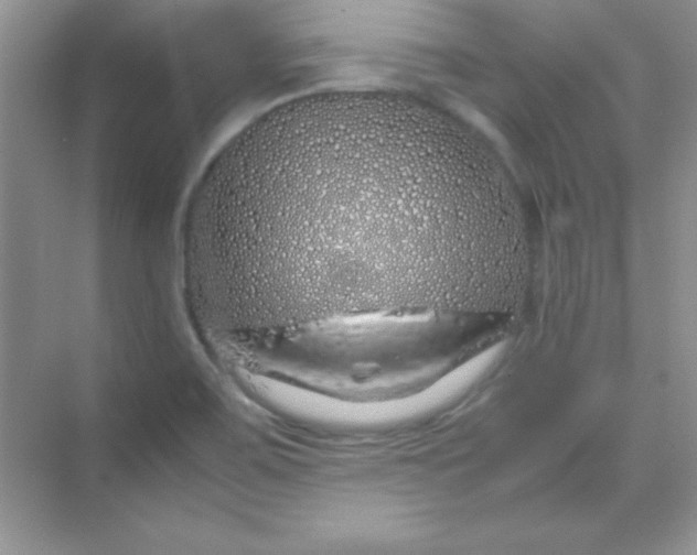 X0000070231467200606091704