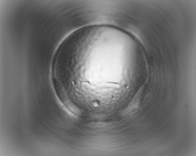 X0000070231468200606091704