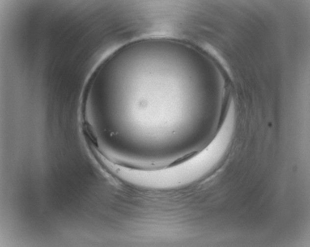 X0000070231469200606091704