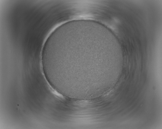 X0000070231470200606091704