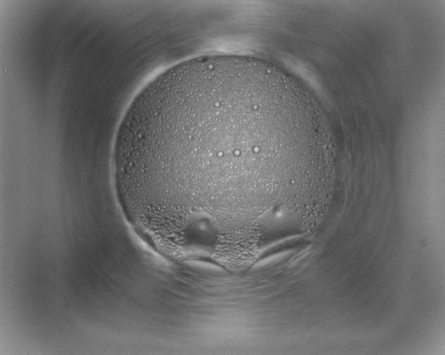 X0000070231471200606091704