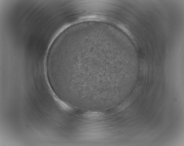 X0000070231474200606091704