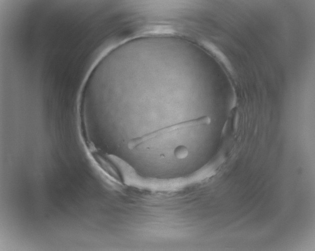 X0000070231475200606091704