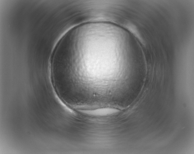 X0000070231476200606091704