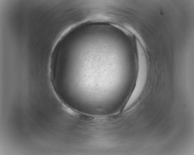 X0000070231477200606091704