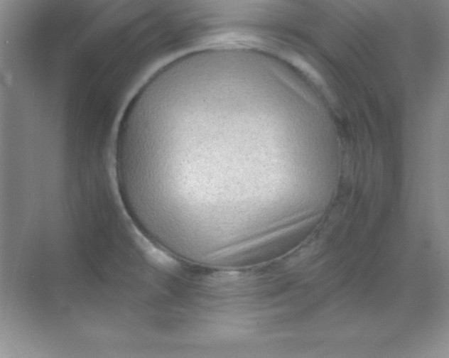 X0000070231478200606091704