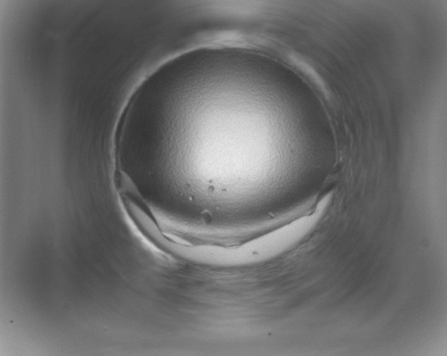 X0000070231479200606091704