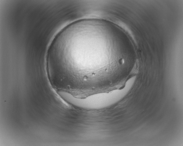 X0000070231480200606091704