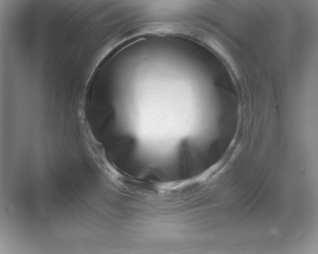 X0000070231481200606091704