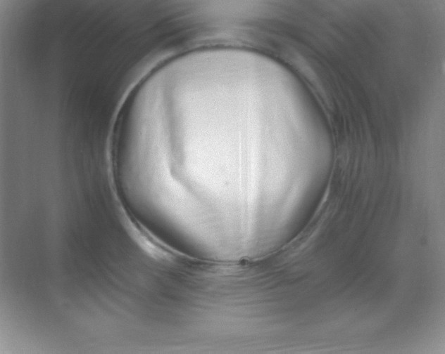 X0000070231482200606091704