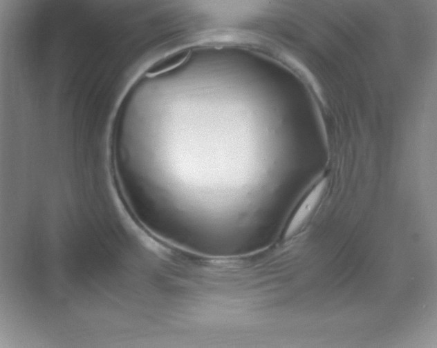 X0000070231483200606091704